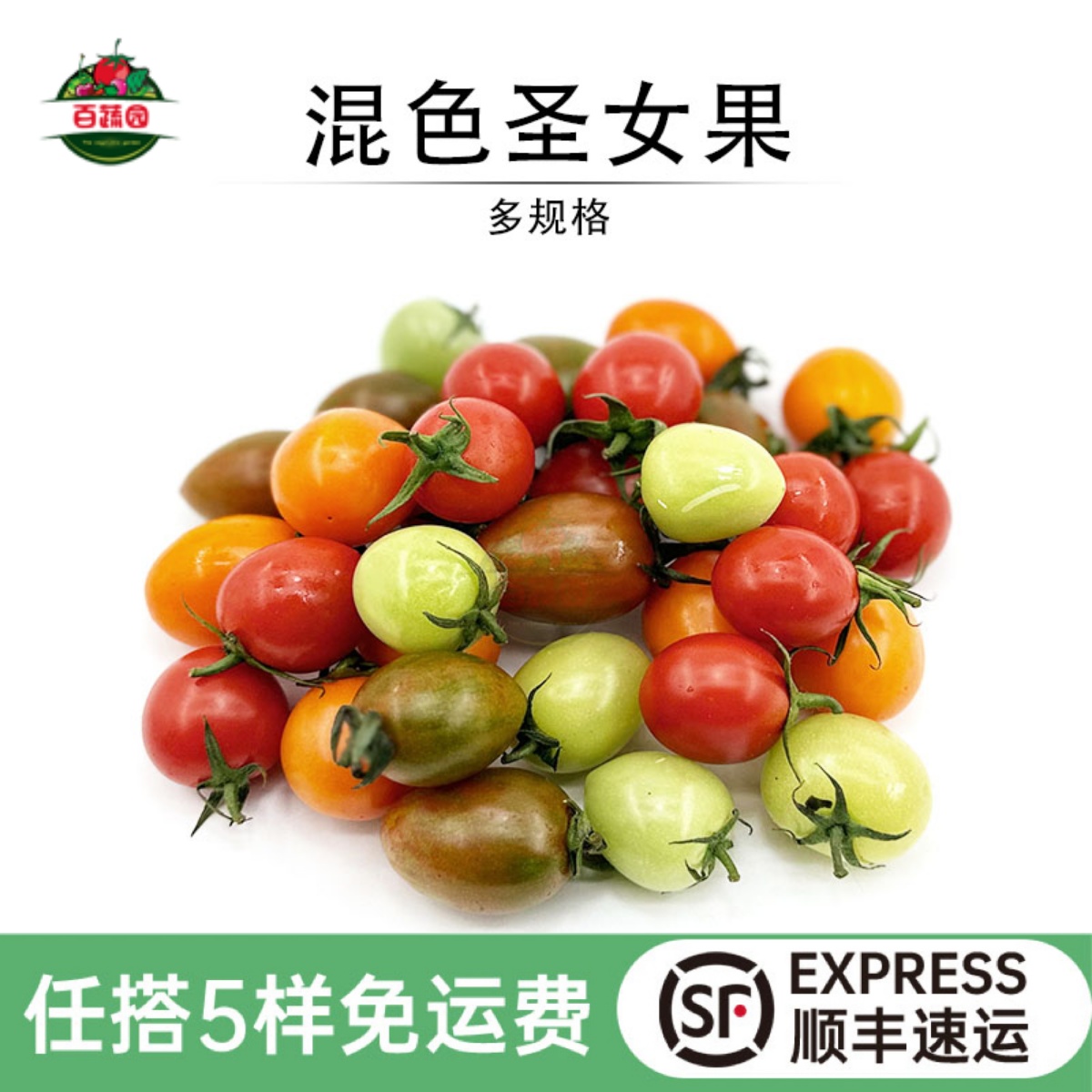 摆盘装饰即食水果新鲜混色圣女果