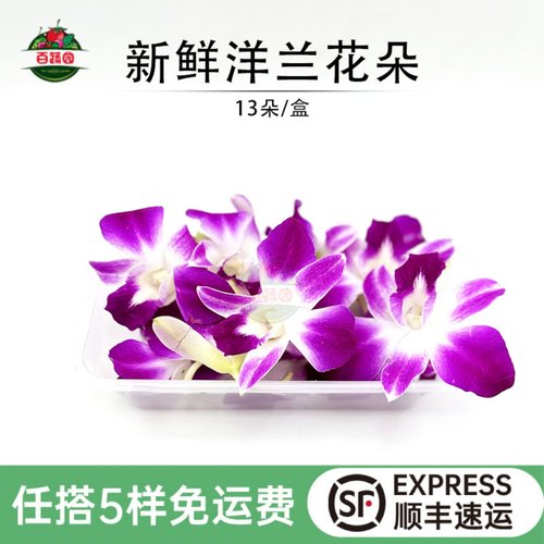 泰国进口杨兰花朵石斛兰摆盘装饰
