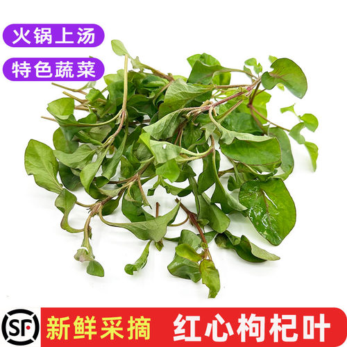新鲜红心枸杞叶红叶枸杞菜食用特色野菜农庄饭店火锅上汤蔬菜包邮