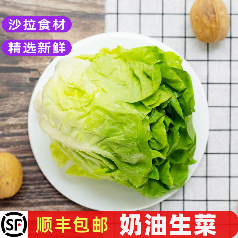 新鲜奶油生菜轻食沙拉菜顺丰包邮