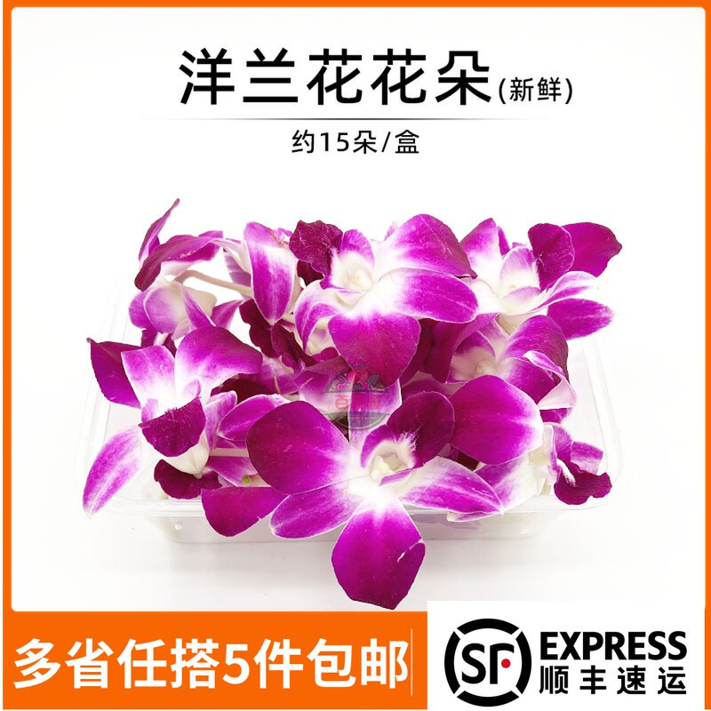 新鲜洋兰花杨兰花花朵石斛兰酒店西餐摆菜盘蛋糕装饰点缀一盒15朵_虎窝淘