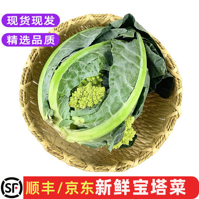 新鲜宝塔花菜西餐酒店特色食材