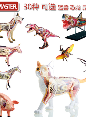 【TOP】4D MASTER动物黑白猫橘黄猫器官解剖拼装玩具狗虎牛马鸡猪