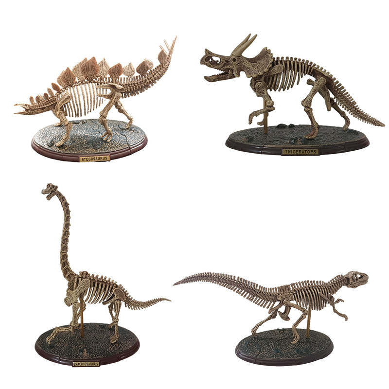 4Dmaster  拼装恐龙 化石骨架展台 霸王龙 腕龙 三角龙 剑齿龙