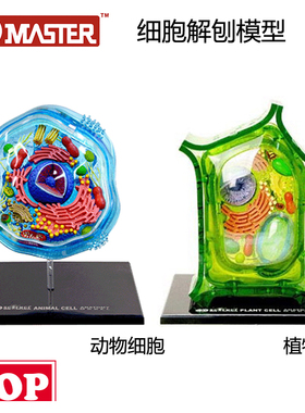 【TOP】4D Master动物植物细胞模型生物学实验解剖科学教具