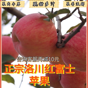 中果24颗80mm整箱正宗陕西洛川苹果新鲜脆甜红富士新鲜水果产地发