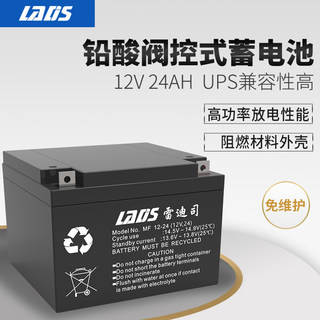 雷迪司 UPS不间断电源 用 铅酸蓄电池 UPS电池24AH 12V MF12-24