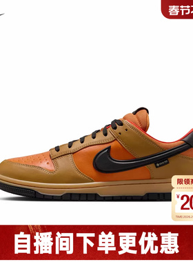 耐克男鞋Nike Dunk GTX防水休闲运动鞋低帮复古板鞋HQ2053-700