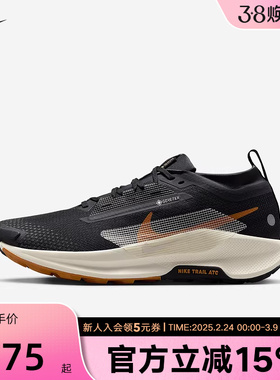 耐克男鞋Pegasus Trail 5 GTX户外拒水飞马越野跑步鞋FQ0908-007