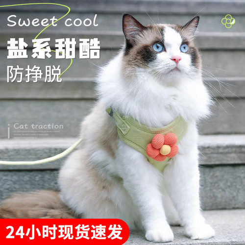 猫咪牵引绳防挣脱外出专用