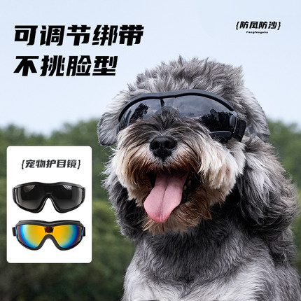 狗狗专用护目镜宠物配饰中小型犬骑行墨镜防风防晒紫外线宠物眼镜