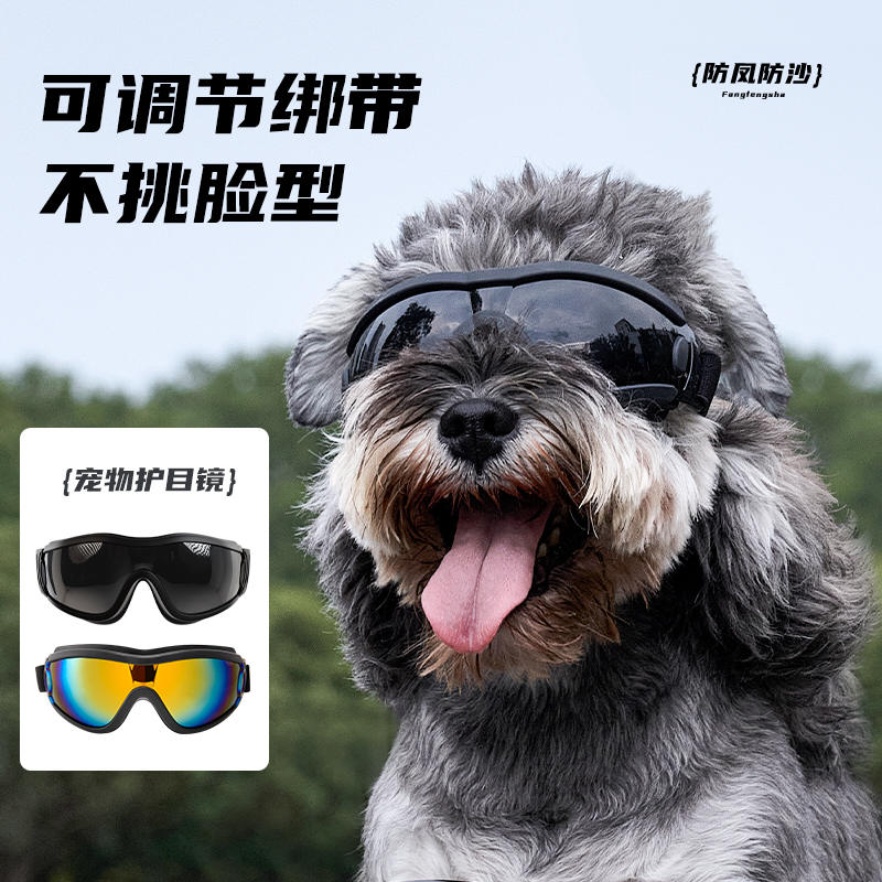 狗狗专用护目镜宠物配饰中小型犬骑行墨镜防风防晒紫外线宠物眼镜