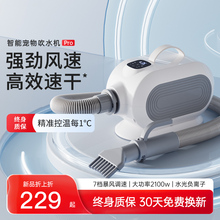 吹水机狗狗专用吹风机宠物烘干机洗澡大型犬家用猫咪静音吹毛神器