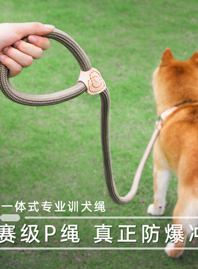 狗狗绳子防爆冲P链遛狗牵引绳防挣脱狗链子中大型犬防爆冲拴狗绳