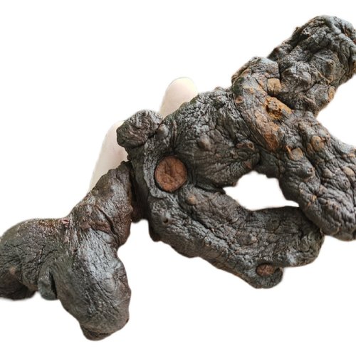 高山黄精【3-4根一斤】软糯九蒸