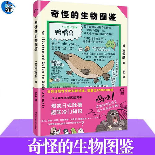 动物
