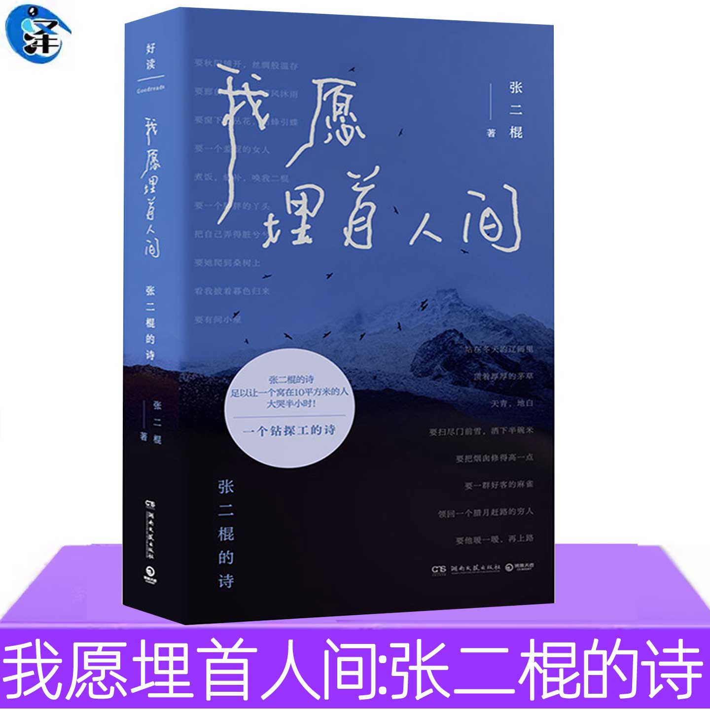 现货正版 我愿埋首人间 张二棍的诗 中国现当代诗歌文学书 收录诗作160首 用诗歌的方式记录图片