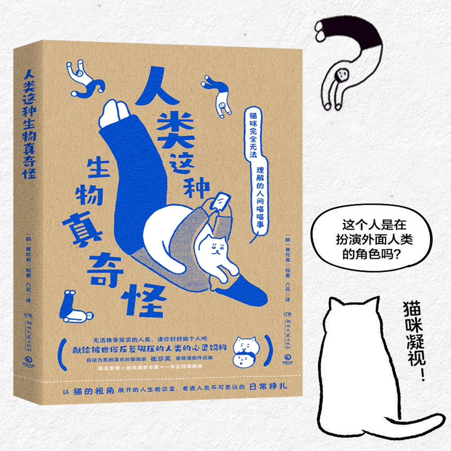 正版现货 人类这种生物真奇怪 (韩)崔珍英 猫咪视角治愈系漫画绘本书 一人一猫幽默日常随笔打工人社畜解压搞笑读物铲屎官碎片阅读