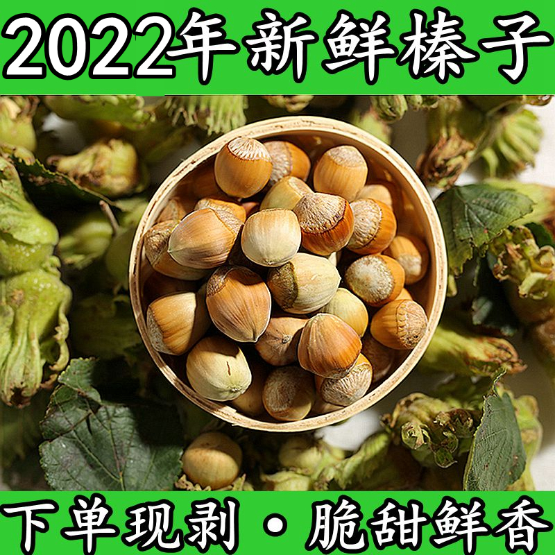 现货新鲜榛子湿榛子包邮大榛子东北水仁带绿皮新货野生榛子500g