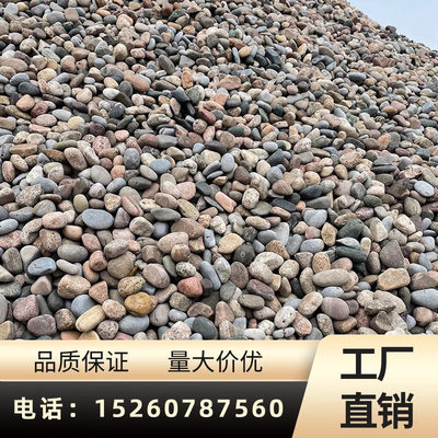 广东鹅卵石变压器5-8河卵石水处理过滤 园林景观大型50公分河滩石