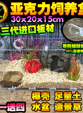 宠物饲养盒亚克力爬虫箱蜘蛛蜥蜴守宫角蛙蛇蟒甲虫302015爬宠盒