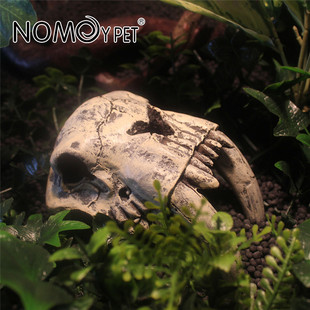 恐龙头骨躲避屋树脂爬宠爬虫水草造景仿真头骨鱼缸水族箱装饰摆件
