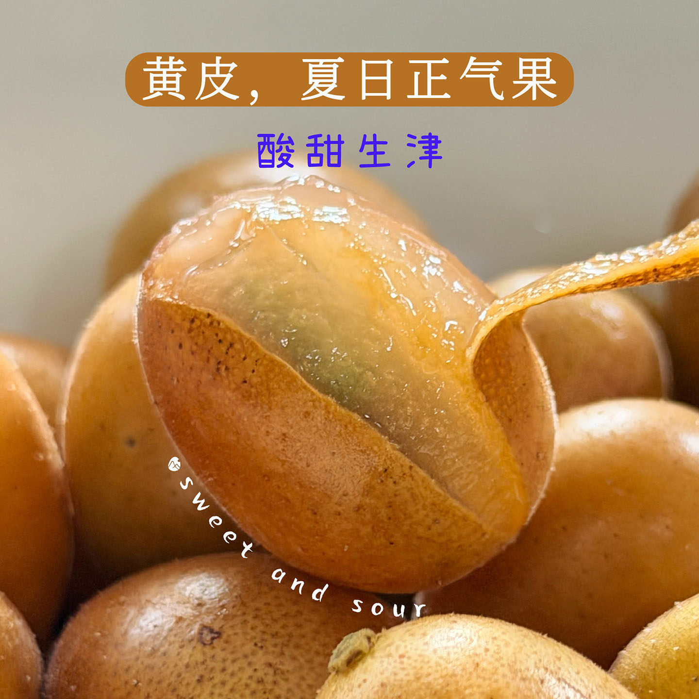 预【山纪生鲜】黄皮果 夏日正气果/甜酸生津