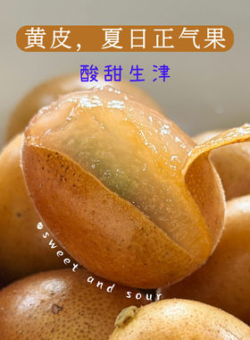 预【山纪生鲜】黄皮果 夏日正气果/甜酸生津