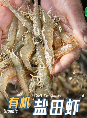 【山纪生鲜】有机盐田带头生虾