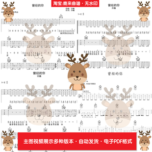 曾经的你 - 许巍 共9个版本 吉他谱 指弹谱 PDF电子格式