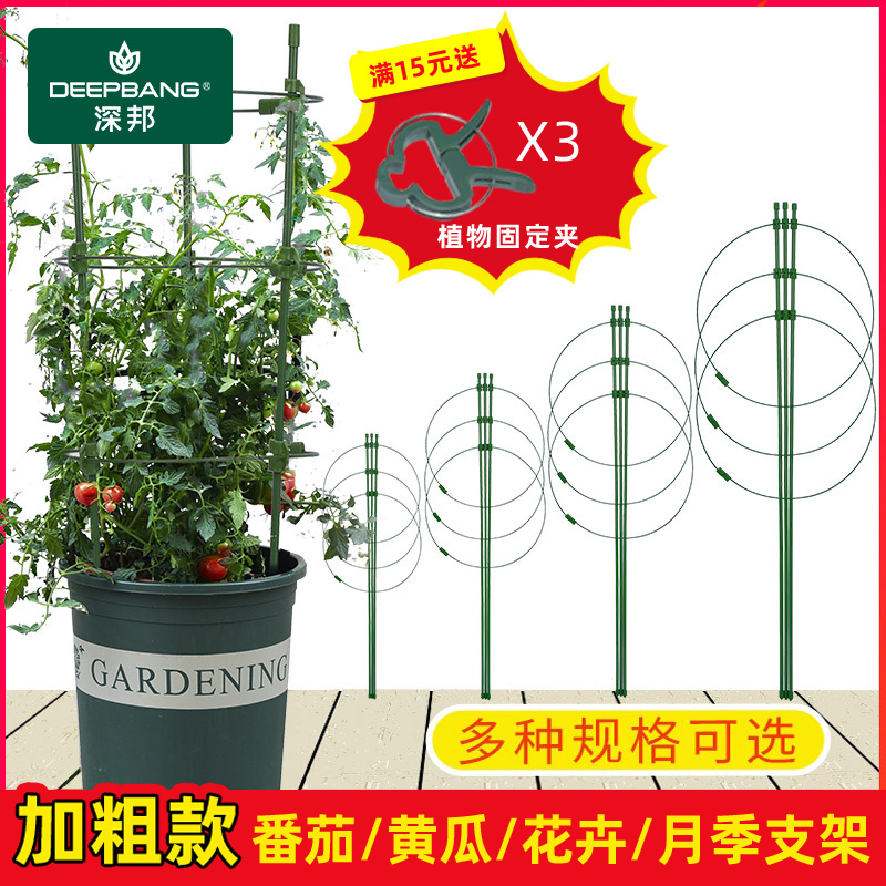 园艺爬藤支撑家用铁艺防倒伏花架