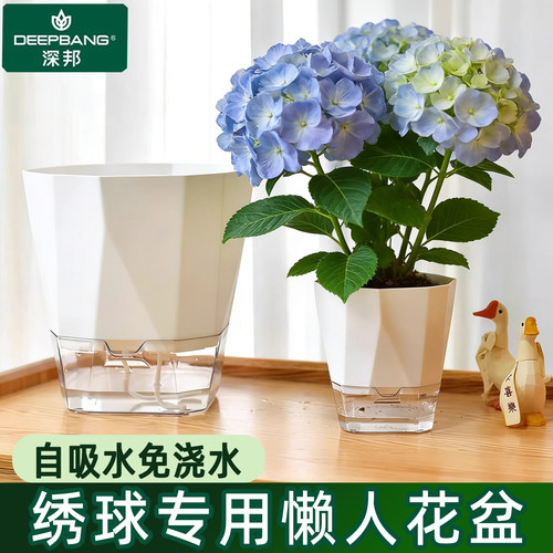 深邦绣球专用自动吸水花盆