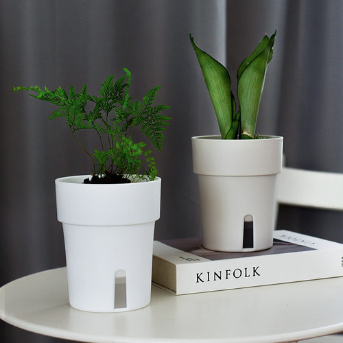 透明塑料花盆价格 透明塑料花盆图片 星期三