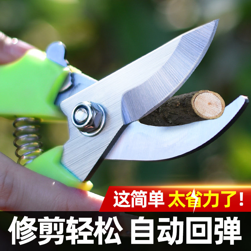 深邦果树修枝剪刀园艺园林修花枝剪家用强力花剪子神器剪枝剪刀,鲜花速递/花卉仿真/绿植园艺,剪刀,淘宝优惠券,粉丝福利购,淘宝优惠卷