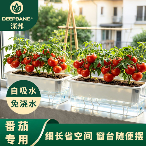 DEEPBANG阳台番茄种植种葱专用盆