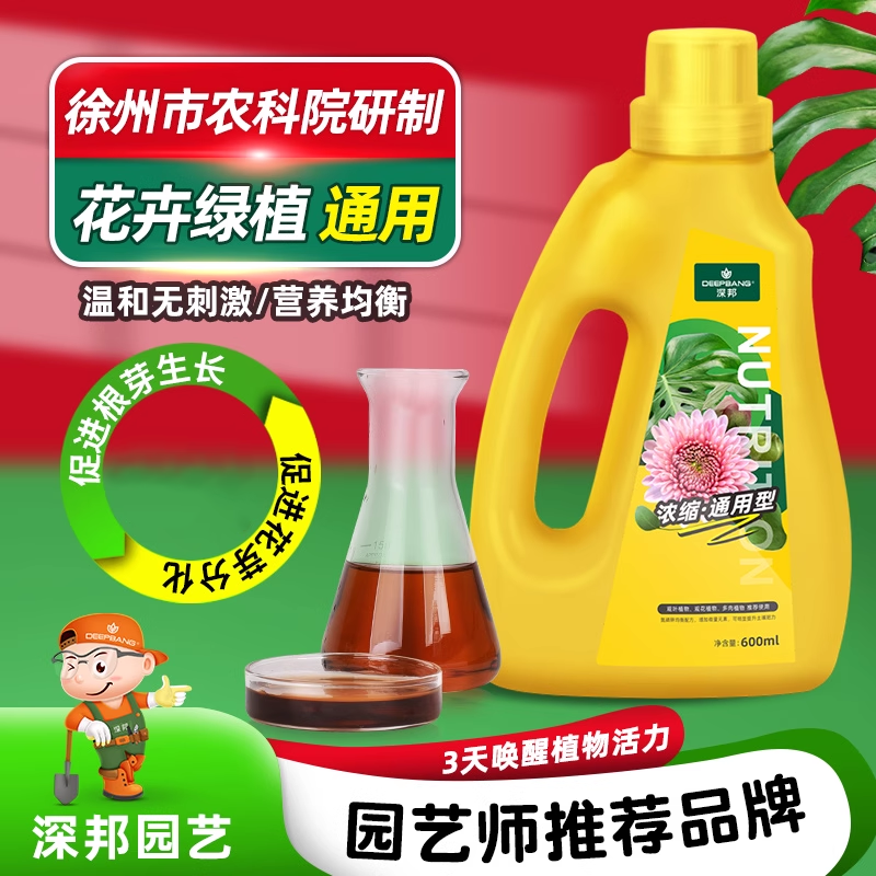 有机植物营养液水培发财树叶面肥