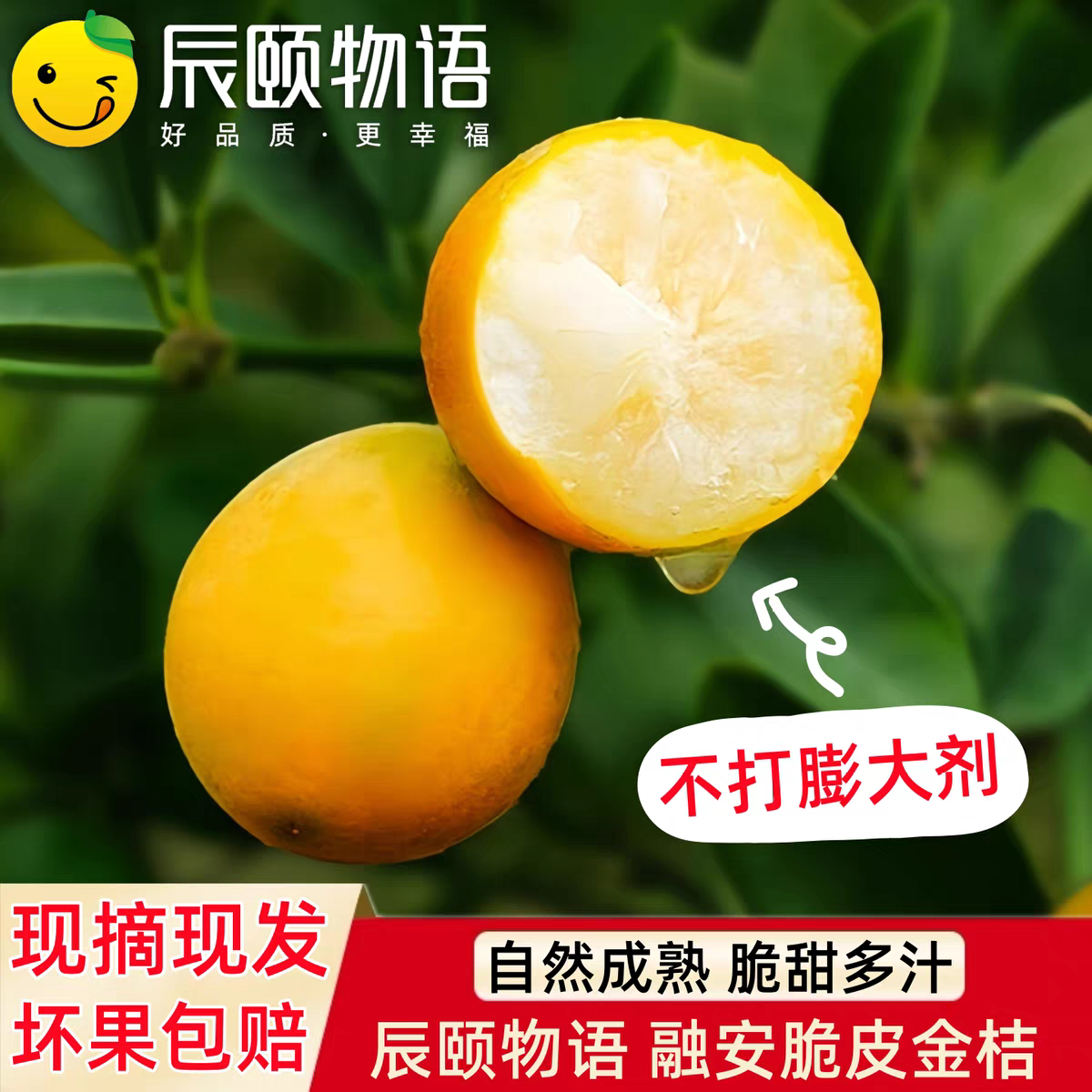 辰颐物语融安脆皮金桔2斤装金钱桔子现摘应季新鲜水果金橘泡水喝,水产肉类/新鲜蔬果/熟食,桔子,淘宝优惠券,粉丝福利购,淘宝优惠卷
