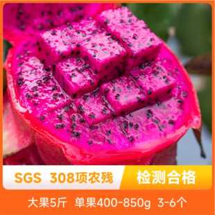 辰颐物语海南金都一号火龙果小中大5斤装3-6个新鲜应季水果包邮