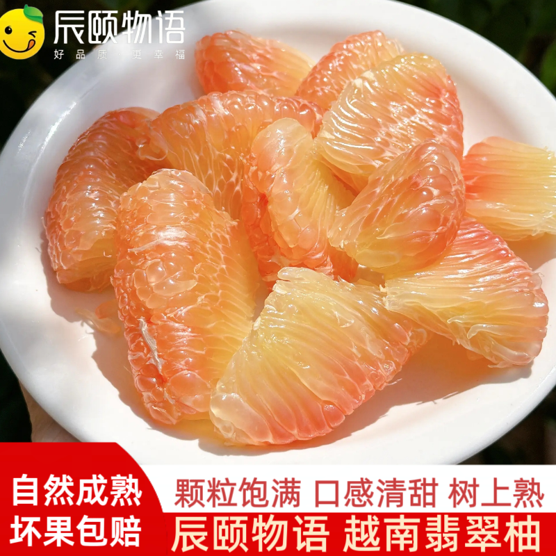 辰颐物语越南进口翡翠柚当季新鲜金柚孕妇可食皮薄甜蜜多汁蜜柚