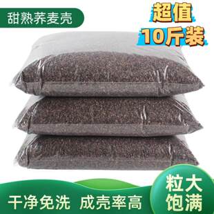 荞麦壳散装10斤甜熟皮夏凉枕头填充物免洗护颈高品质儿童成人5斤3