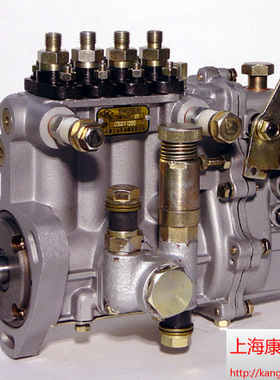 适用yc喷油泵4pm125A F3000和6AW418 70554964和和B4AD76B D0702