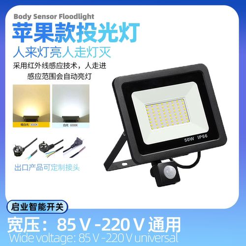 110V220V人体感应投光灯
