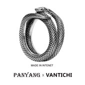 蜕变X智慧 原创正品 VANTICHI纯银蛇形复古个性 食指男士 戒指指环