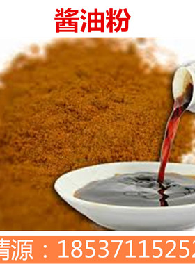 酱油粉增味剂粉末酱油食品级高品质凉菜撒料烧烤精调味品酱油原料