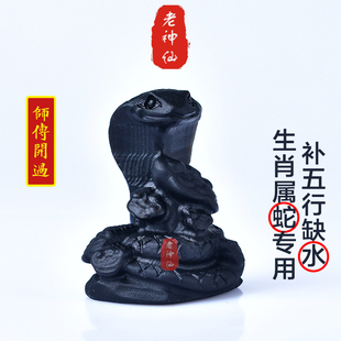 老神仙 化解属蛇五行缺水生肖蛇摆件 八字五行缺水补水黑曜石蛇