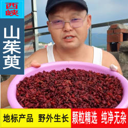 山茱萸山萸肉河南西峡野生山茱萸石枣皮中药材新货泡茶可磨粉包邮