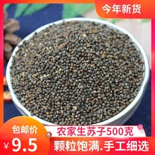 生苏子500g 紫苏生紫苏种子苏子籽苏麻子 榨油料烧烤料 月饼馅料
