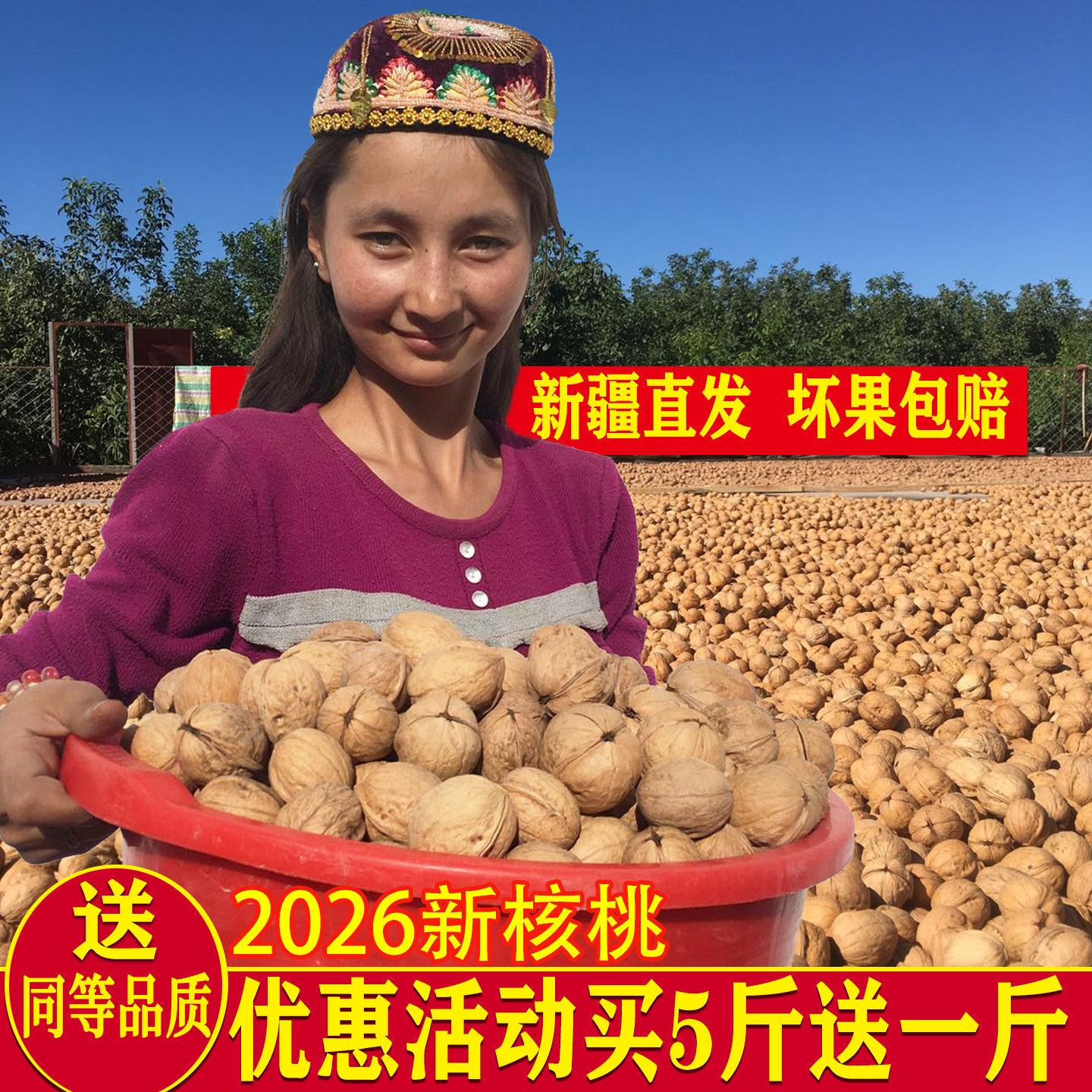 阿克苏新货185纸皮核桃原味生图片