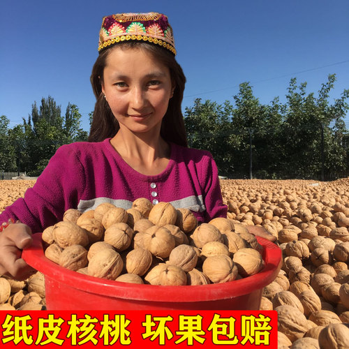 阿克苏2025纸皮核桃新货产地直发