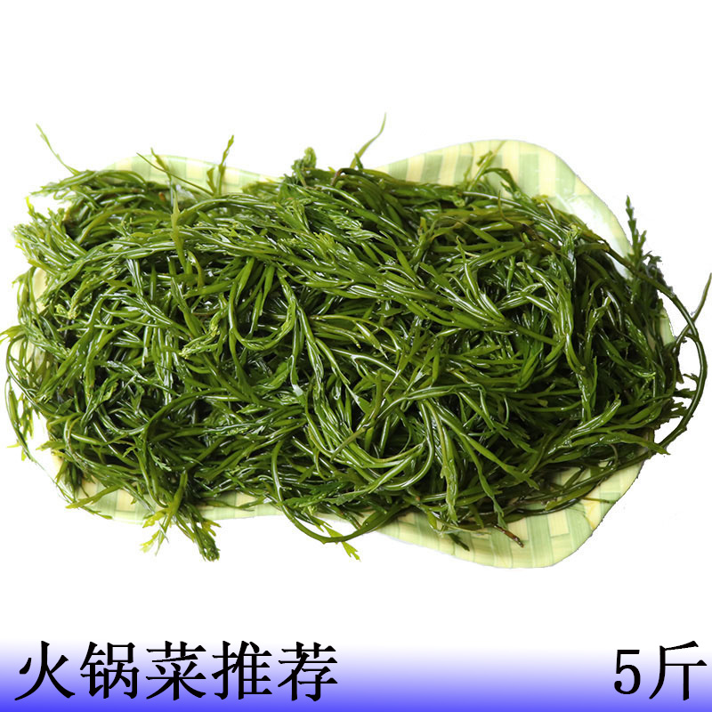 荣成海藻盐渍马尾藻羊栖菜即食海草鞭炮笋火锅串串食材配菜5斤-封面